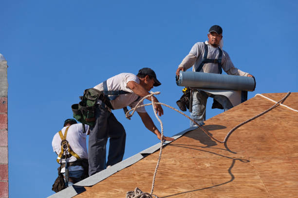 Best Roof Gutter Cleaning  in Mec, CA