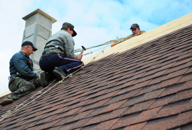 Best Local Roofing Companies  in Mec, CA